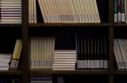 Lietuvos standartizacijos departamento el. standartų kolekcija