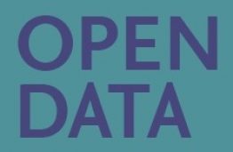 Open Data tyrimo rezultatai