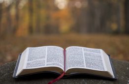 Elsevier nuotolinis seminaras „Kaip publikuoti el. knygą?“