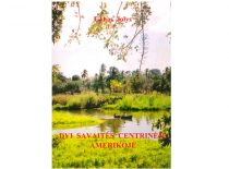 Šioje knygutėje pateikta „mažo bidžeto“ kelionės po Centrinės Amerikos valstybės įspūdžių nuotrupos.