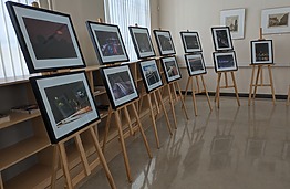 Fotografijų paroda „Lux Aeterna City“ KTU bibliotekoje