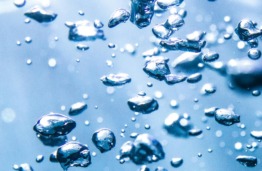 Pradedama tarptautinė piliečių mokslo iniciatyva „Citizens4Water“