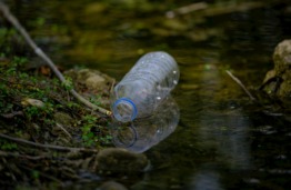„Plastic Pirates“ kviečia mokyklas prisijungti prie tarptautinio piliečių mokslo projekto